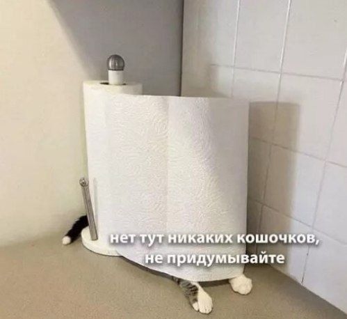 нет тут никаких кошкочков, не придумывайте