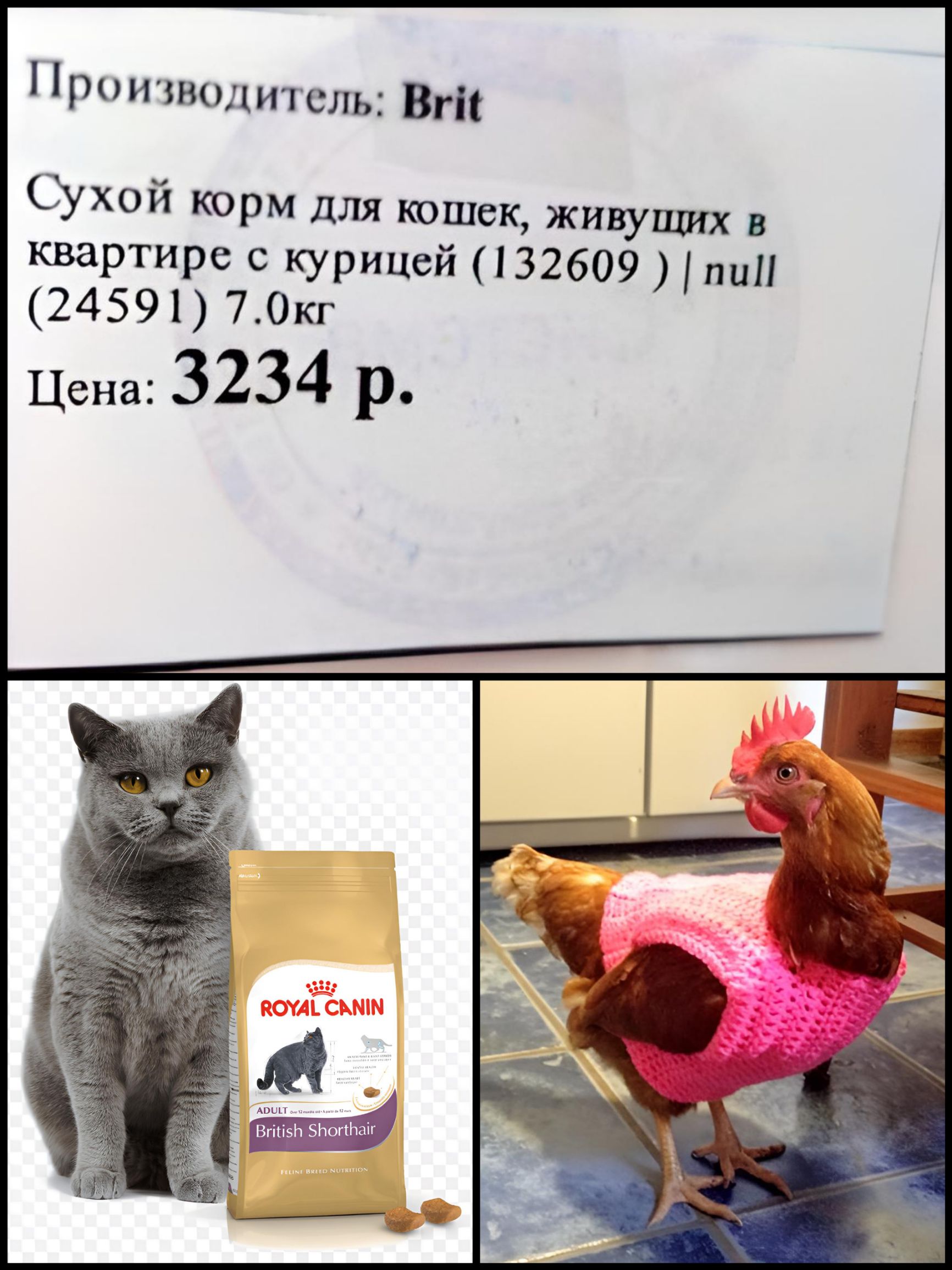 Проичиолитель вт Сухой корм для кошек живущих квартире с курицей 132609 пиП 24591 70кг Цена 3234 р