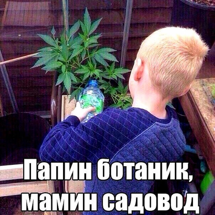 _Папи ИН ППШ ШК ма_м Емн садовод