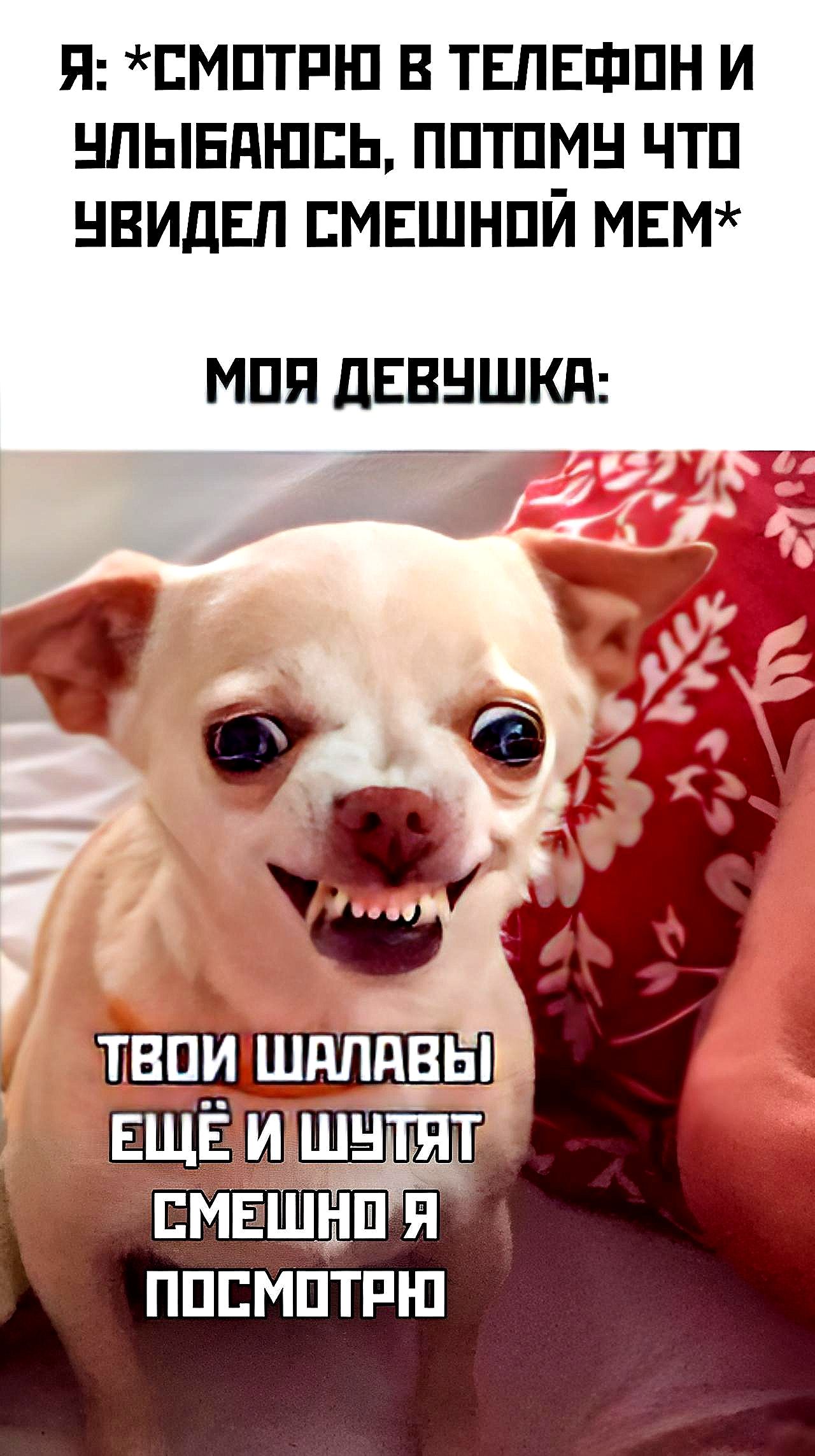 Я ЕМПТРШ В ТЕПЕФПН И НПЫЕПШЕЬ ППТПМН ТП НВИДЕЛ ЕМЕШНПЙ МЕМ МПП дЕВНШКд ППЕМПТРШ