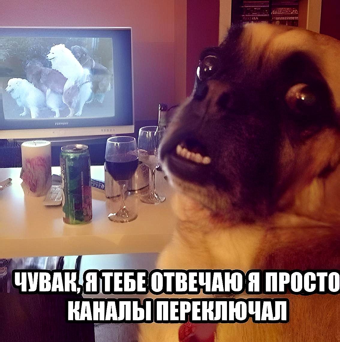 іі ВМС ТЕБЕ ПТВЕЧПЮ Я просто Щ ШНШЫ ПЕРЕКЛЮЧМ