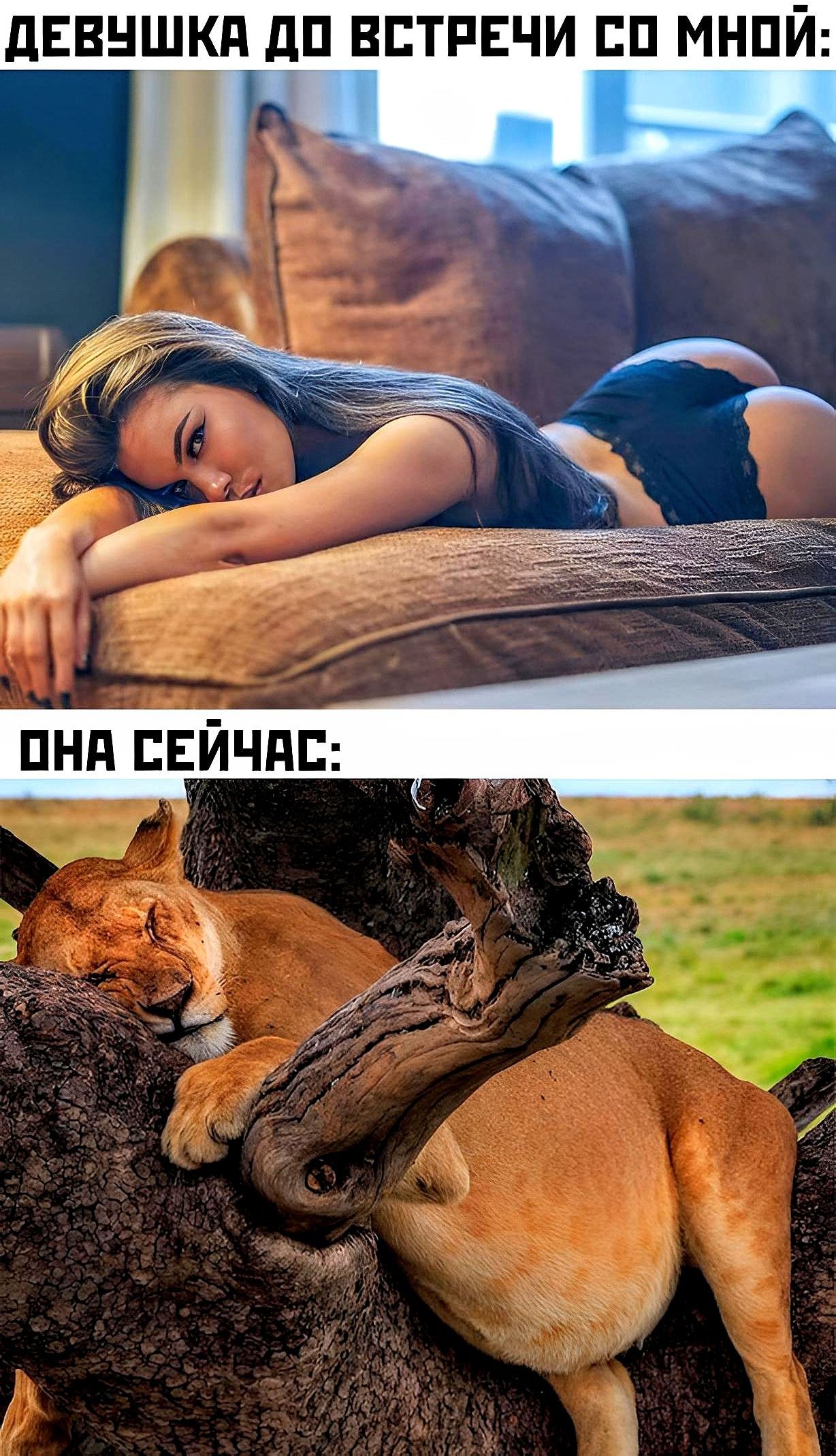 дЕВНШКд дП ВСТРЕЧИ ЕП МНПЙ