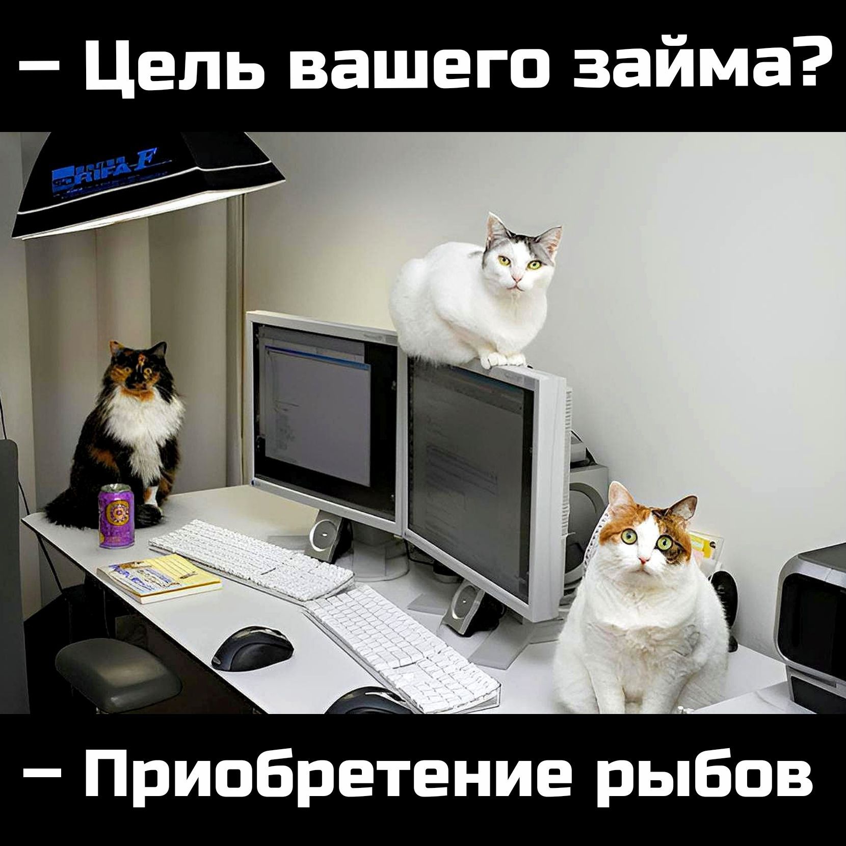 Цепь вашего займа Приобретение рыбов