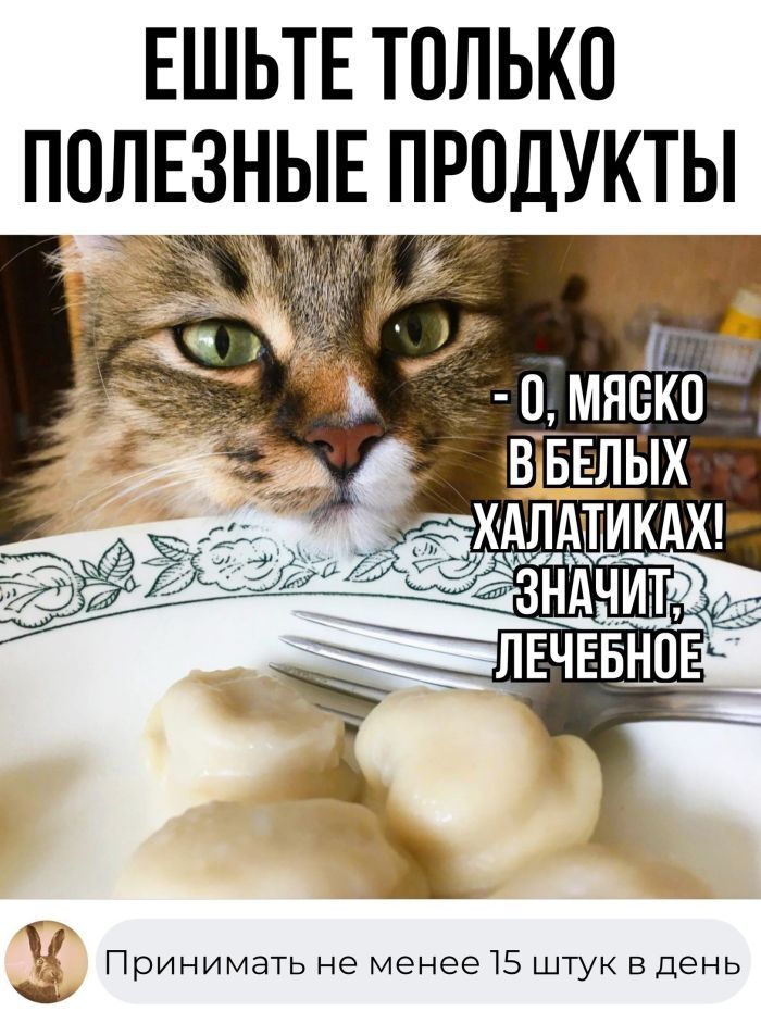 ЕШЬТЕ ТОЛЬКО ПОЛЕЗНЫЕ ПРОДУКТЫ эщввлвпх 4 _ ХАПАТИКАХ _ і Пр ииииииии еменееБштуквдень