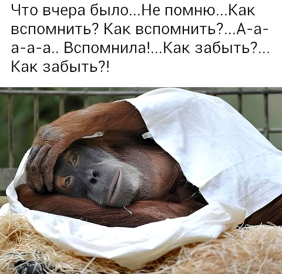 Что вчера былоНе помнюКак вспомнить Как вспомнитьАай Эйва ВспомнилаКак забыть Как забыть