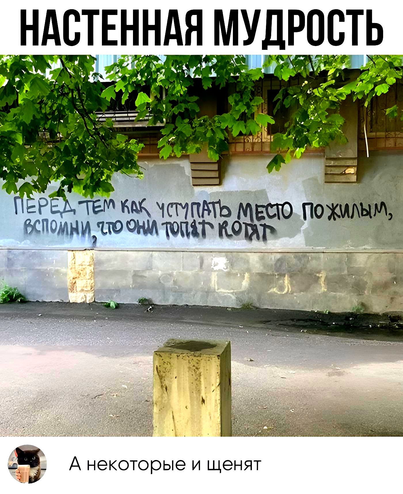 НАВТЕННАЯМУДРОСТЬ мч сип о вспомни ЪМЁЪ ЕЁ П А некоторые и щенят