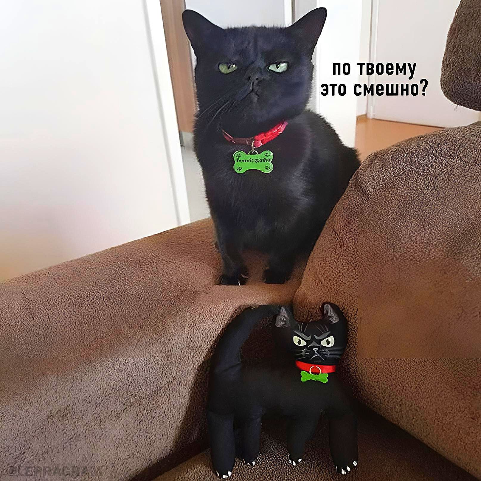пп ТППЕМУ зто смешип