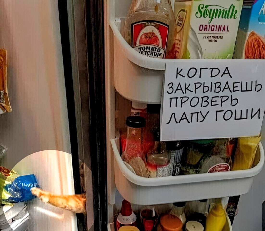 7 иржівшм КОГВА ЗАКРЫВАЕШЬ ПРОВЕРЬ ААПУ ГОШИ
