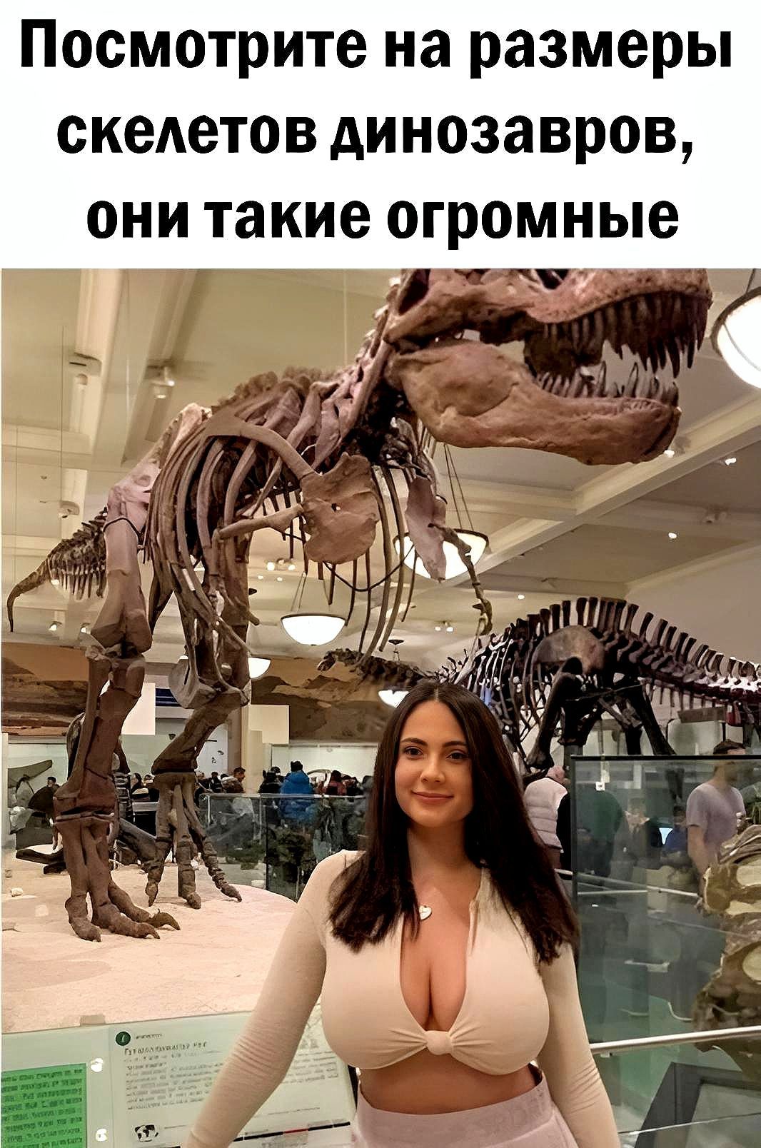 Посмотрите на размеры скедетов динозавров они такие огромные