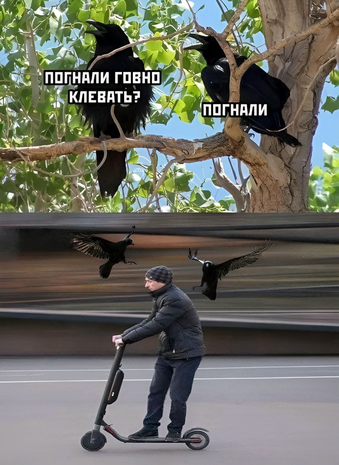 пппнпли гпвнп клипы
