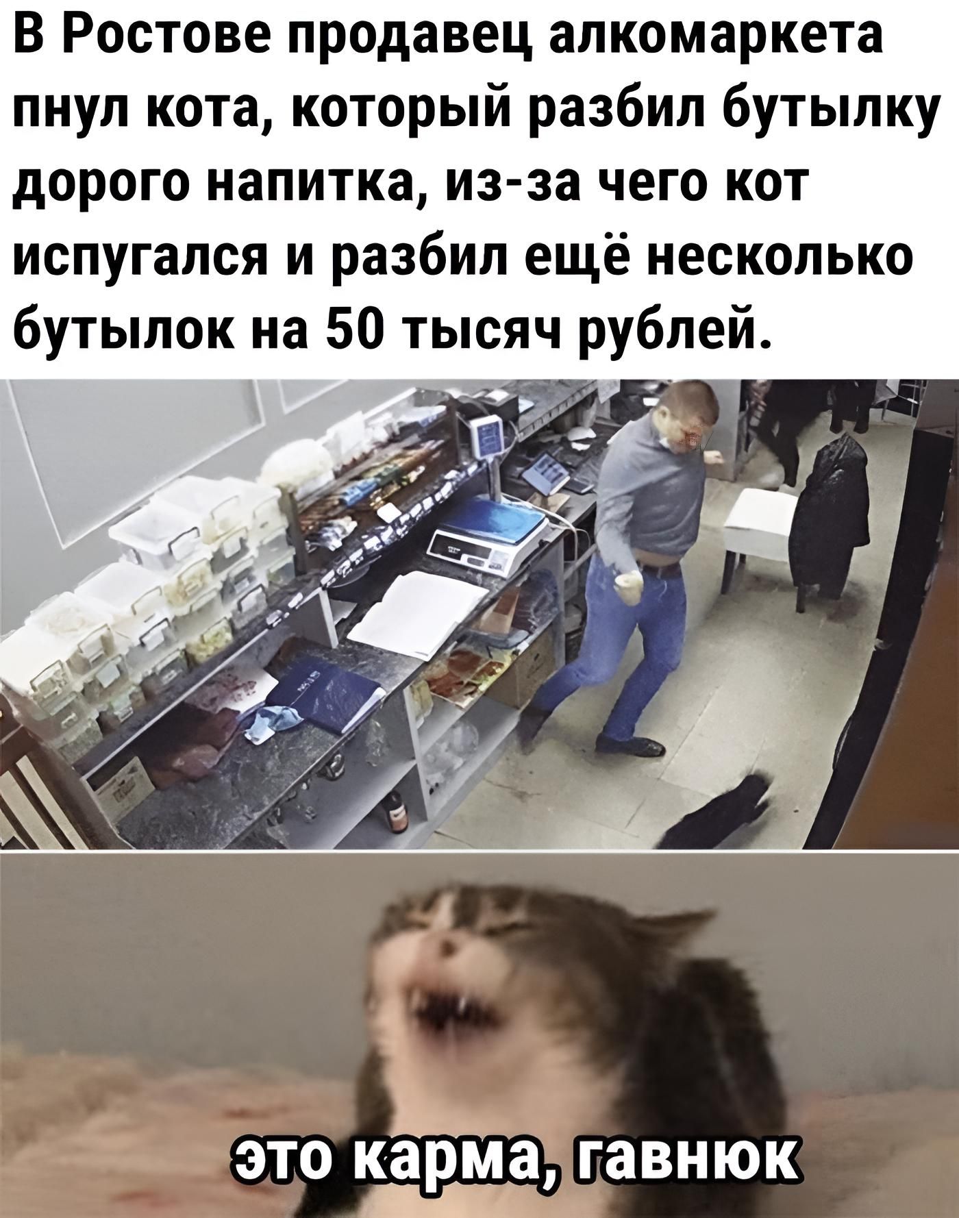 В Ростове продавец алкомаркета пнул кота который разбил бутылку дорого напитка из за чего кот испугался и разбил ещё несколько бутылок на 50 тысяч рублей это ката гавнюк ц