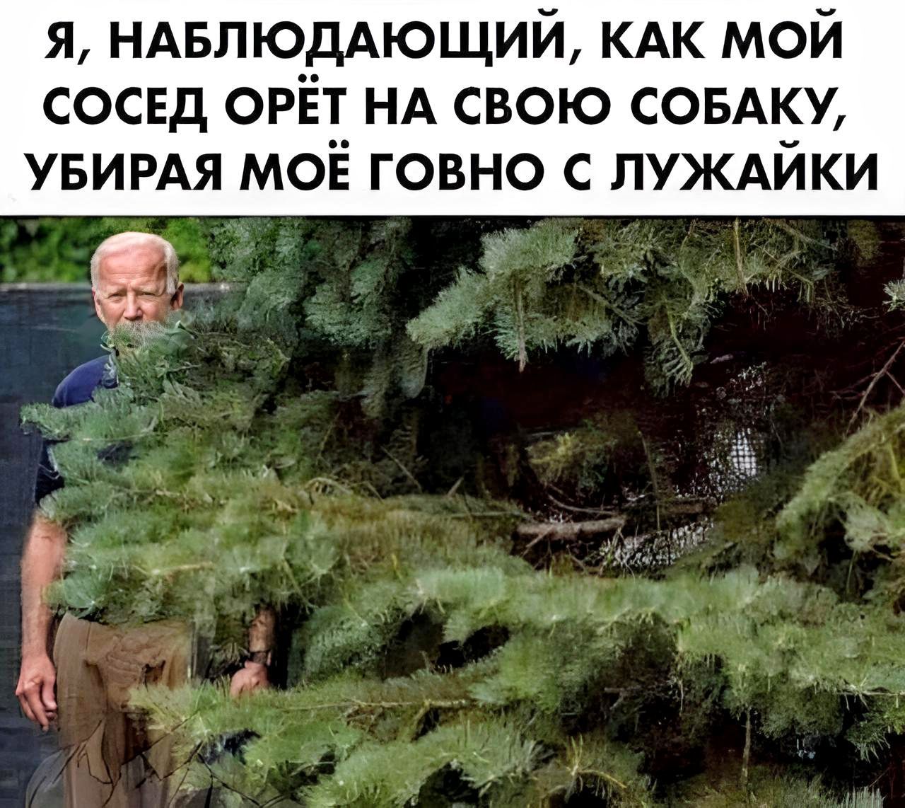 я НАвтодАющий КАК мой сосед ОРЕ НА свою совм5у увимя мов говно с пуждики