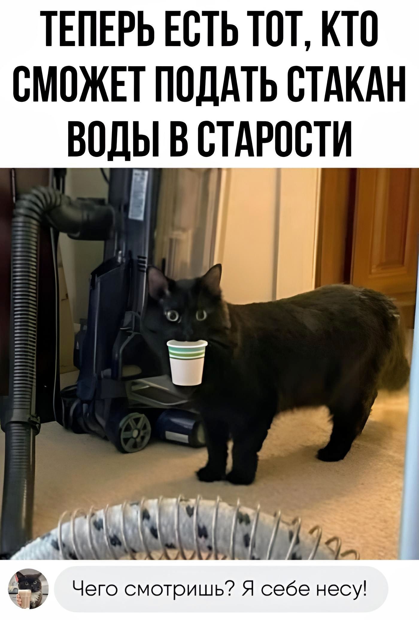 ТЕПЕРЬ ЕСТЬ ТОТ КТО СМОЖЕТ ПОДАТЬ СТАКАН ВОДЫ В ВТАРОСТИ Ё д5 Чего смотришь Я себе несу