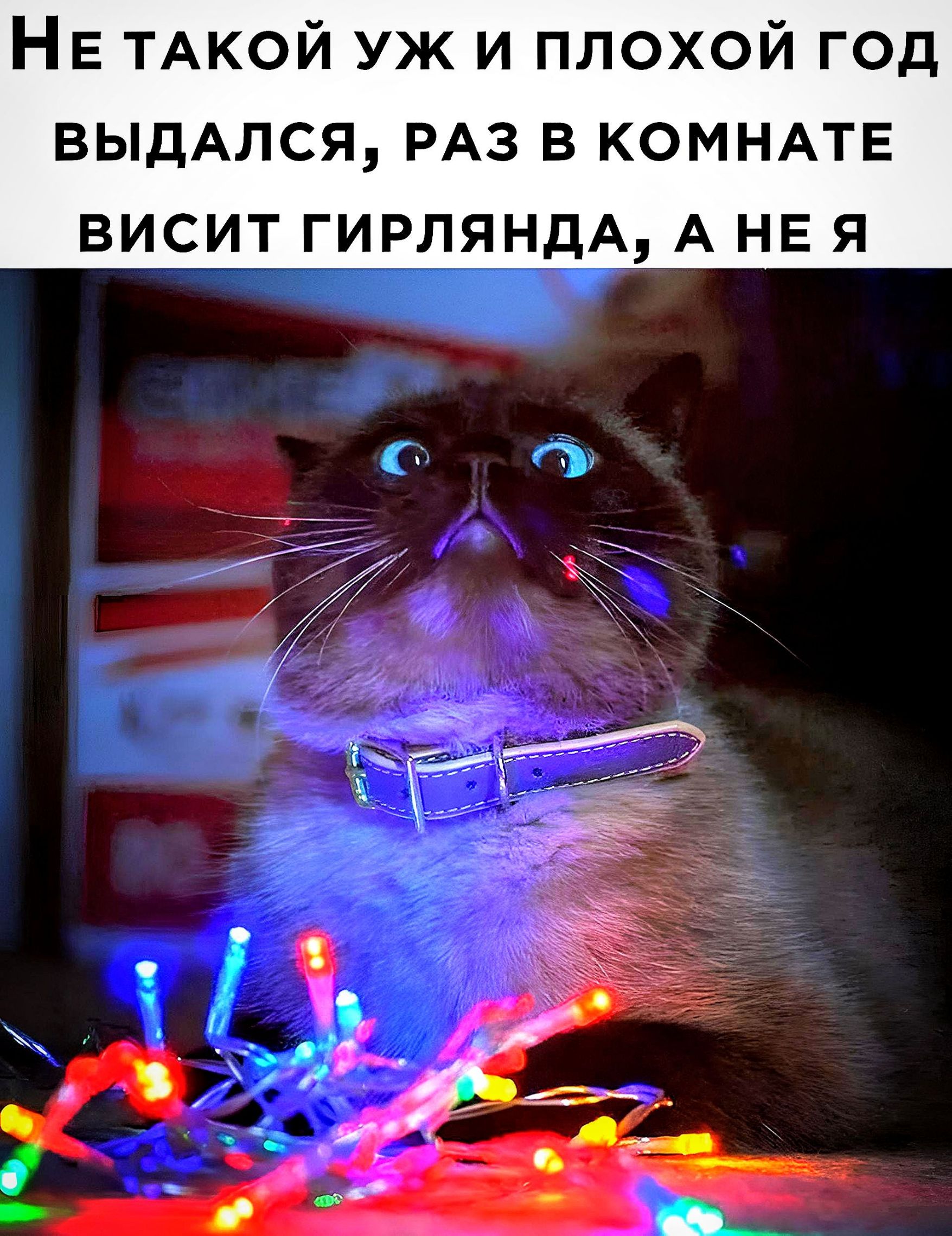 НЕ ТАКОЙ уж и плохой год ВЫДАЛСЯ РАЗ В КОМНАТЕ ВИСИТ ГИРЛЯНДА А НЕ Я