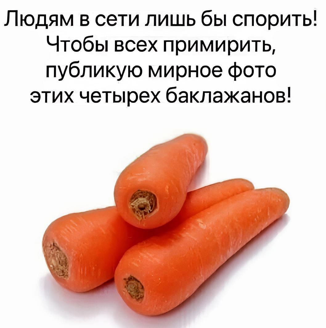 Людям в сети лишь бы спорить Чтобы всех примирить публикую мирное фото этих четырех баклажанов