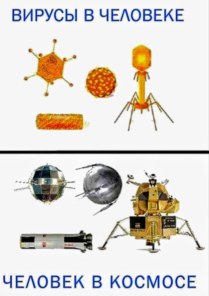 ВИРУСЫ В ЧЕАОВЕКЕ А ЧЕАОВЕК в КОСМОСЕ