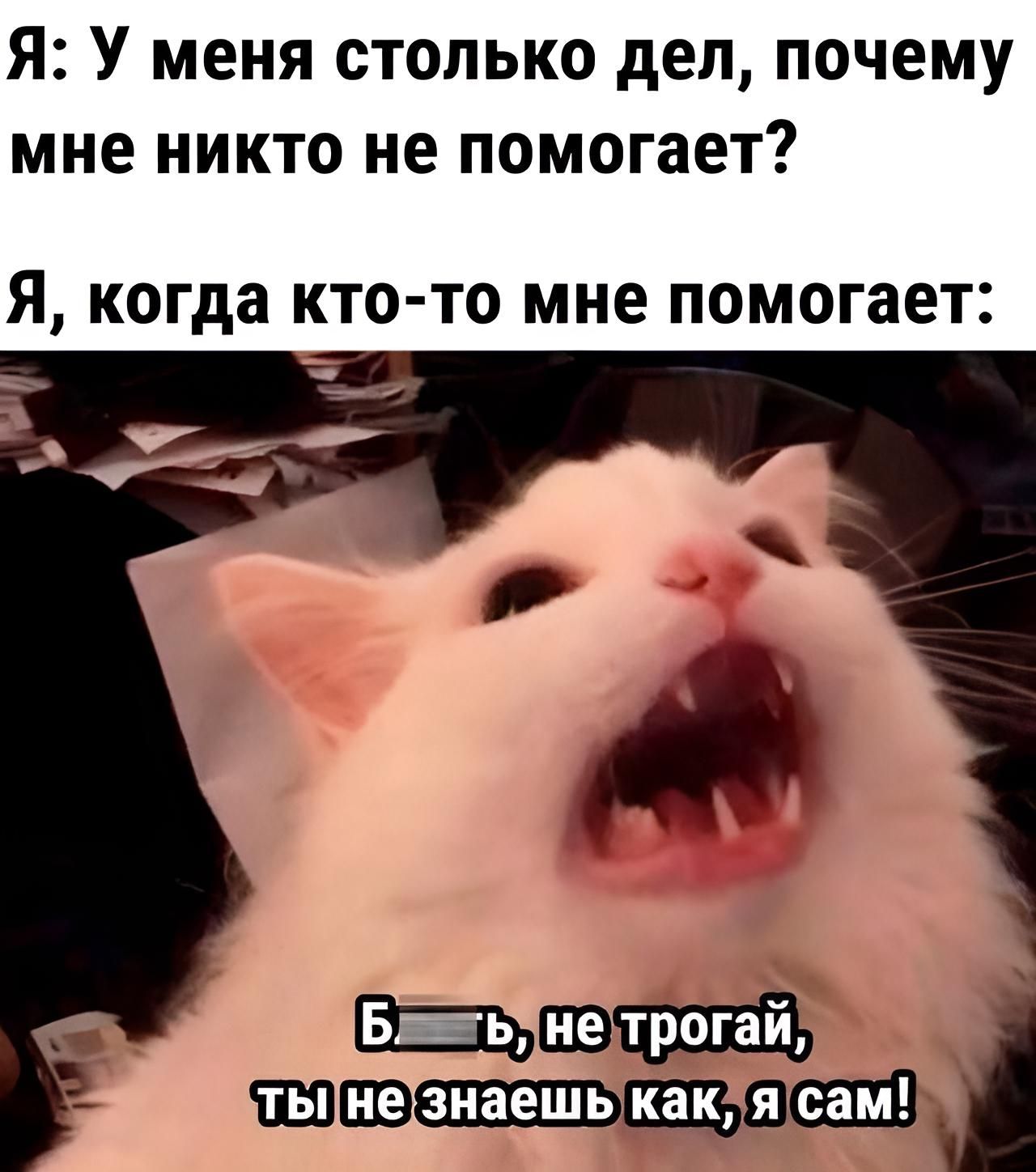 Я У меня столько деп почему мне никто не помогает Я когда КТО ТО МНЕ ПОМОГЗЕП даза _ чат
