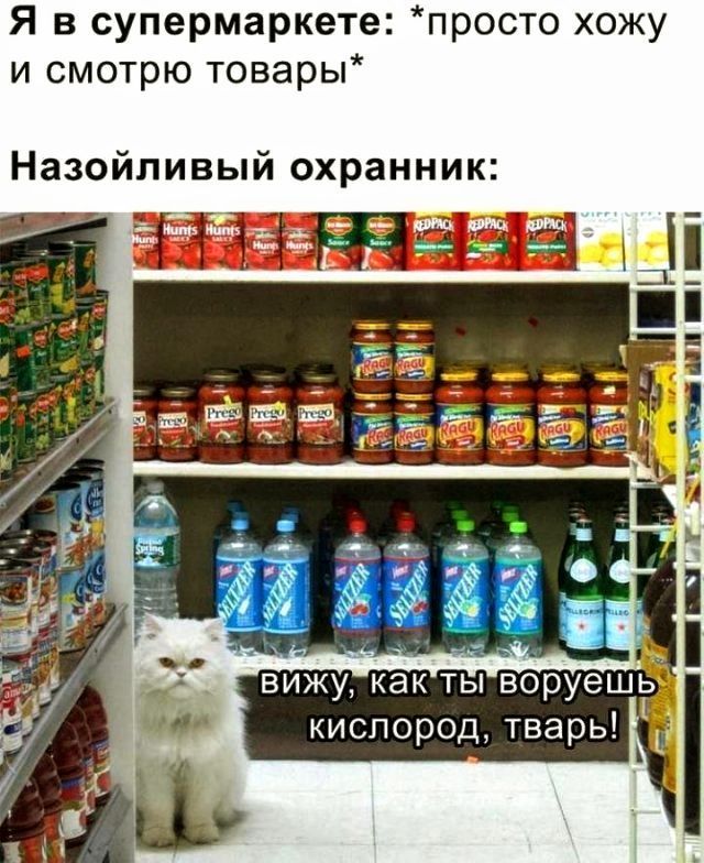 Я в супермаркете просто хожу и смотрю товары Назойливый охранник