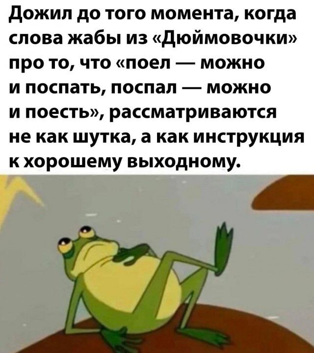 дожил до того момента когда слова жабы из дюймовочки про то что поел можно и поспать поспал можно и поесть рассматриваются не как шутка а как инструкция к хорошему выходному