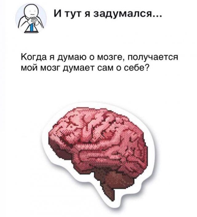 И тут я задумался Когда я думаю мозге получается мой мозг думает сам о себе