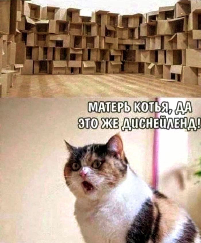 матерыкоту ир эторже чсненленд!!