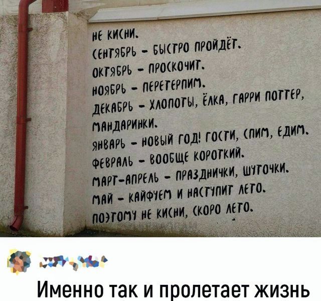 случь Именно так и пролетает жизнь