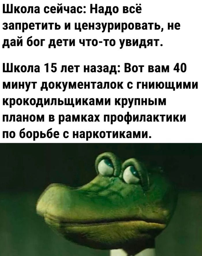 Школа сейчас Надо всё запретить и цензурировать не дай бог дети что то увидят Школа 15 лет назад Вот вам 40 минут документалок с гниющими крокодильщиками крупным планом в рамках профилактики по борьбе с наркотиками