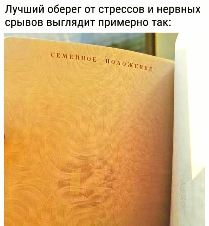 Лучший оберег от стрессов и нервных срывов выглядит примерно так ооа РйНОв оЛЬ