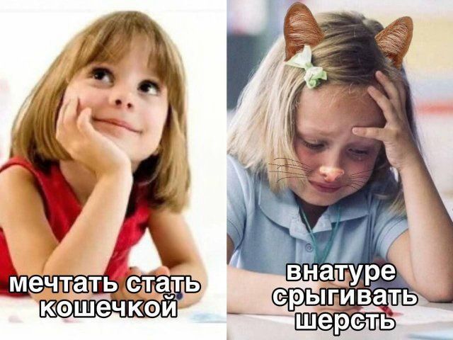 мечтать стать кошечкой
внутри срыгивать шерсть