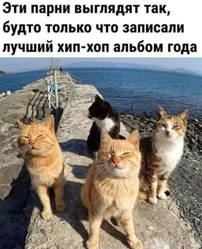 Эти парни выглядят так, будто только что записали лучший хип-хоп альбом года