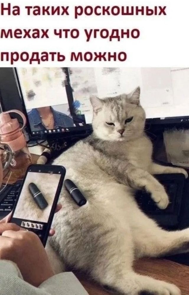 На таких роскошных мехах что угодно продать можно