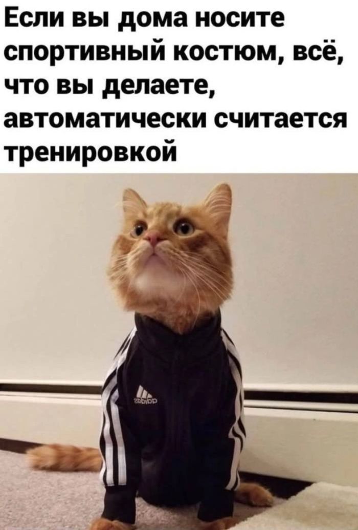Если вы дома носите спортивный костюм, всё, что вы делаете, автоматически считается тренировкой.