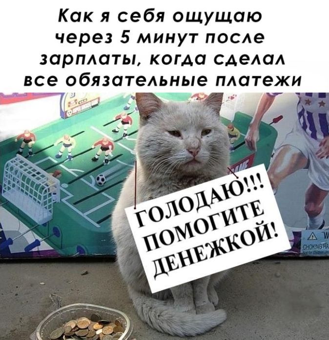 Как я себя ощущаю через 5 минут после зарплаты, когда сделал все обязательные платежи. ГОЛОДАЮ!!! ПОМОГИТЕ ДЕНЕЖКОЙ!
