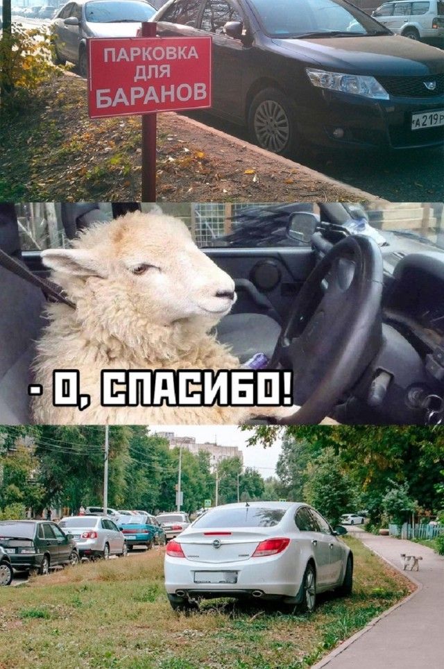 - О, СПАСИБО!