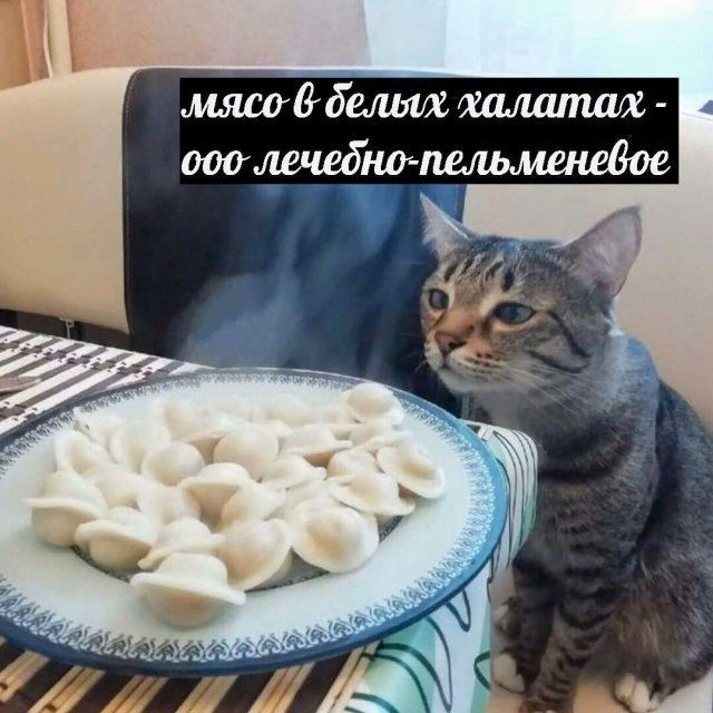 мясо в белых халатах - ооо лечебно-пельменевое