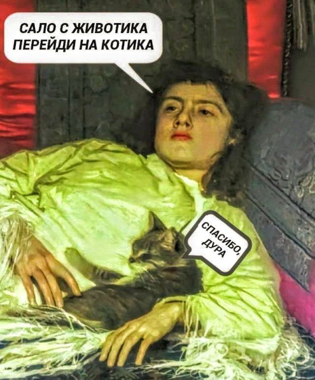 САЛО С ЖИВОТИКА ПЕРЕЙДИ НА КОТИКА
СПАСИБО, ДУРА