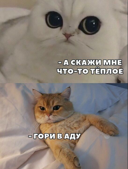 - Скажи мне что-то тёплое
- Гори в аду