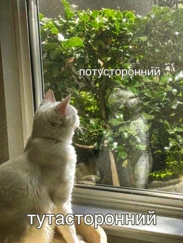 потусторонний
тутасторонний