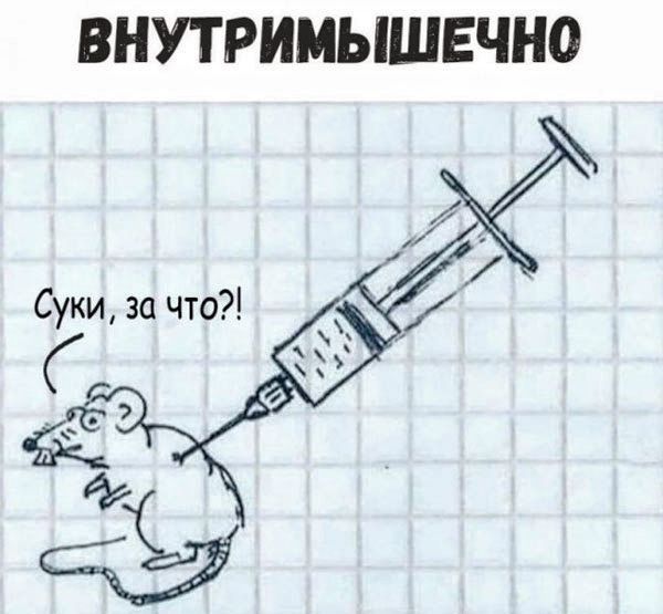 Суки, за что?!