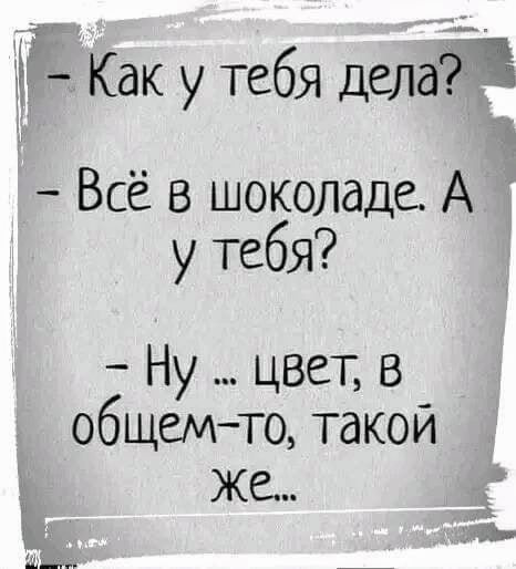 - Как у тебя дела?
- Всё в шоколаде. А у тебя?
- Ну ... цвет, в общем-то, такой же...
