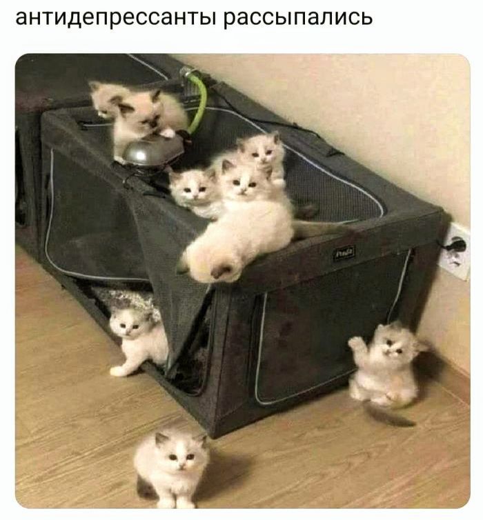 антидепрессанты рассыпались