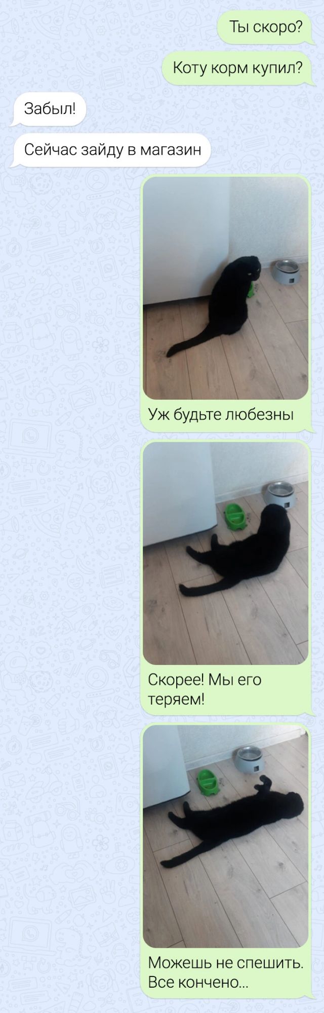 Ты скоро? Коту корм купил? Забыл! Сейчас зайду в магазин. Уж будьте любезны. Скорее! Мы его теряем! Можешь не спешить. Все конечно...