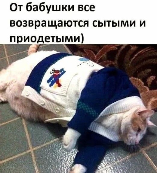 От бабушки все возвращаются сытыми и приодетыми)