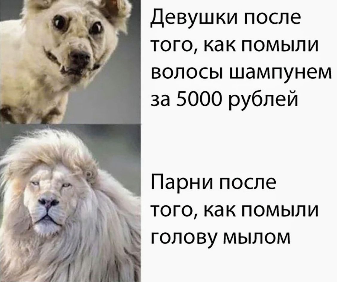 Девушки после того, как помыли волосы шампунем за 5000 рублей
Парни после того, как помыли голову мылом