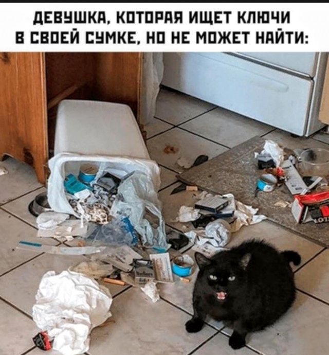 ДЕВУШКА, КОТОРАЯ ИЩЕТ КЛЮЧИ В СВОЕЙ СУМКЕ, НО НЕ МОЖЕТ НАЙТИ: