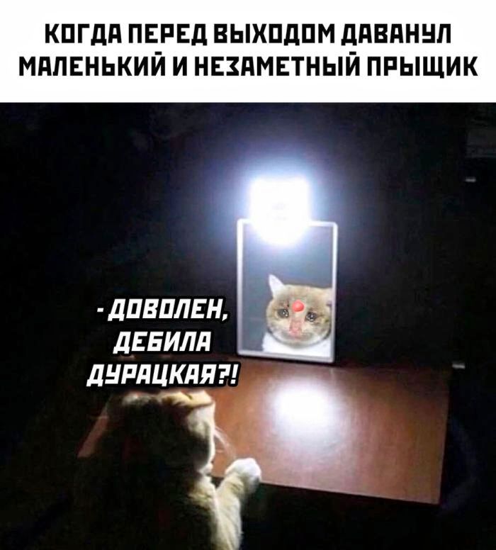 КОЛИ ПЕРЕД ВЫХОДОМ ДАВАНУЛ МАЛЕНЬКИЙ И НЕЗАМЕТНЫЙ ПРЫЩИК
- ДОВОЛЕН, ДЕБИЛА ДУРАЦКАЯ?!
