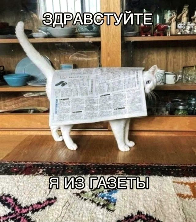 ЗДРАВСТВУЙТЕ Я ИЗ ГАЗЕТЫ