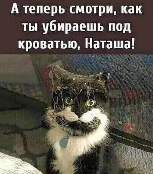 А теперь смотри, как ты убираешь под кроватью, Наташа!