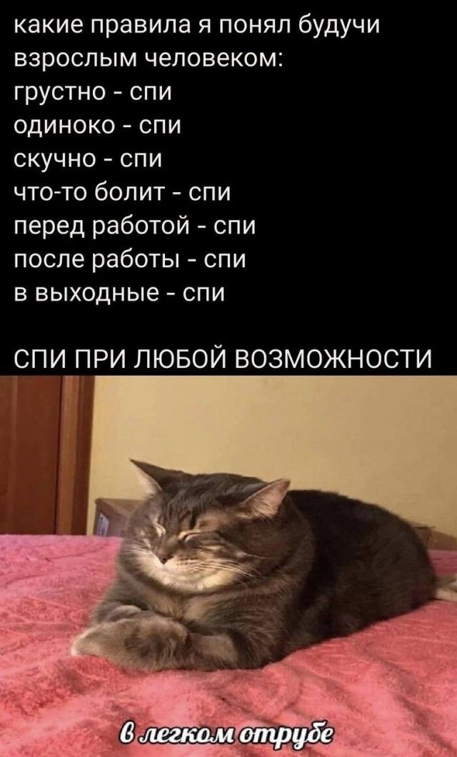 какие правила я понял будучи взрослым человеком: грустно - спи одиноко - спи скучно - спи что-то болит - спи перед работой - спи после работы - спи в выходные - спи СПИ ПРИ ЛЮБОЙ ВОЗМОЖНОСТИ в легком отрубе