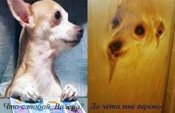 Что с тобой, Валера? Да чёта мне херово